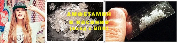 гидра Зеленодольск