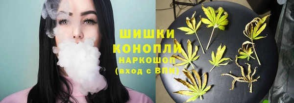 PSILOCYBIN Зеленокумск