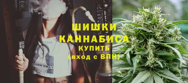 гидра Зеленодольск