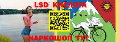 Альфа ПВП Камышлов
