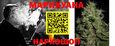 Альфа ПВП Камышлов