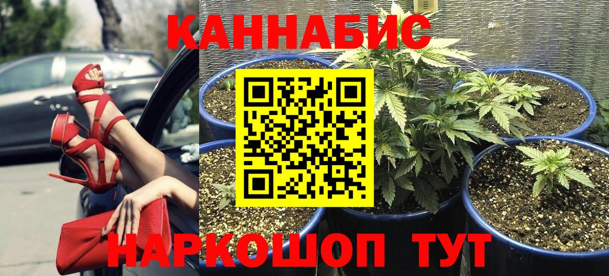 Конопля тримм Канск